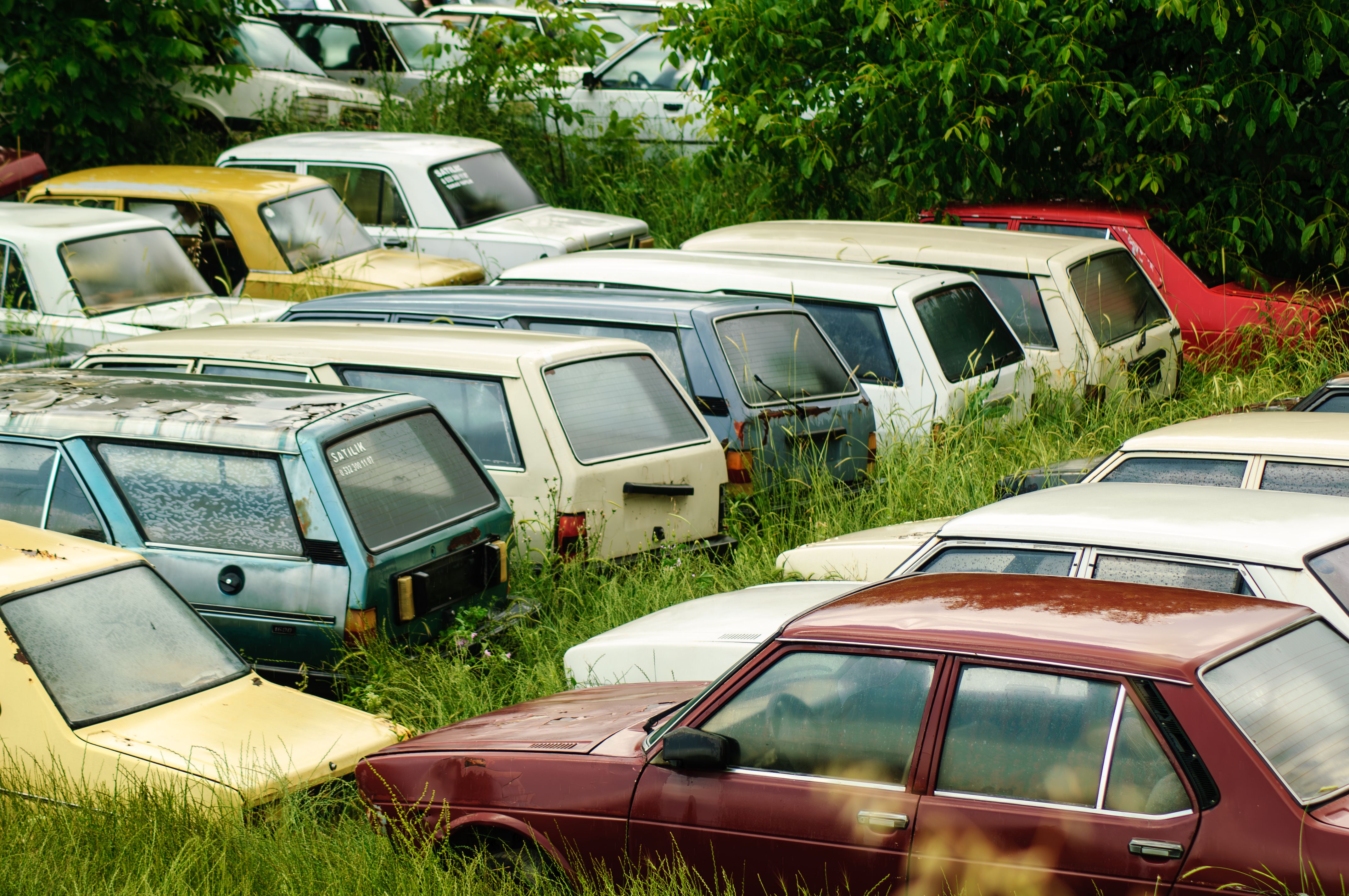 Rows of junked cars at a salvage yard